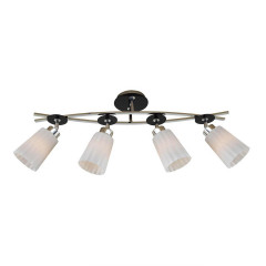 Люстра на штанге Citilux Димона CL148141