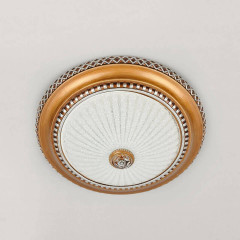 Накладной потолочный светильник Citilux Тренди CL425352