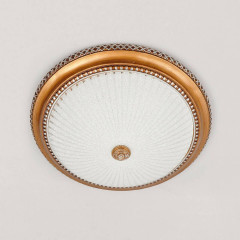 Накладной потолочный светильник Citilux Тренди CL425502