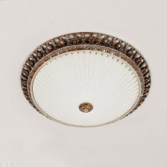 Накладной потолочный светильник Citilux Тренди CL425503