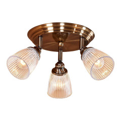 Спот Citilux Виндзор CL539631