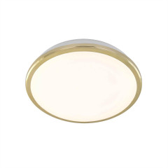 Накладной настенно-потолочный светильник Citilux Луна CL702162W