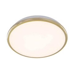 Накладной настенно-потолочный светильник Citilux Луна CL702222W