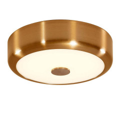 Накладной настенно-потолочный светильник Citilux Фостер-1 CL706112