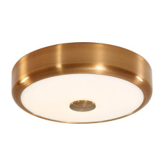 Накладной потолочный светильник Citilux Фостер-1 CL706122