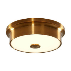 Накладной настенно-потолочный светильник Citilux Фостер-2 CL706212