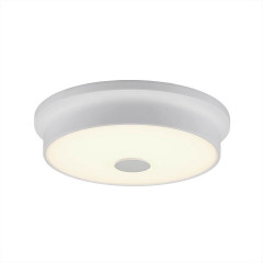 Накладной потолочный светильник Citilux Фостер CL706220