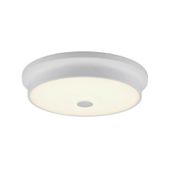 Накладной потолочный светильник Citilux Фостер CL706230