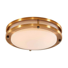 Накладной потолочный светильник Citilux Бостон CL709153