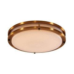 Накладной потолочный светильник Citilux Бостон CL709253