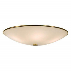 Накладной потолочный светильник Citilux Лайн 911 CL911602