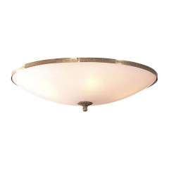 Накладной потолочный светильник Citilux 912 CL912500