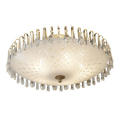 Потолочный светильник на штанге Citilux Амели CL916251