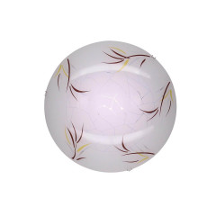 Накладной настенно-потолочный светильник Citilux CL918 CL918009