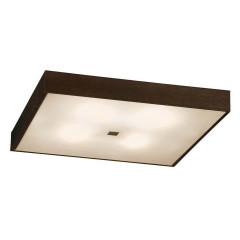 Накладной потолочный светильник Citilux Кваттро CL940411