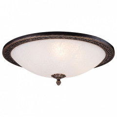 Накладной потолочный светильник Maytoni Aritos C906-CL-04-R