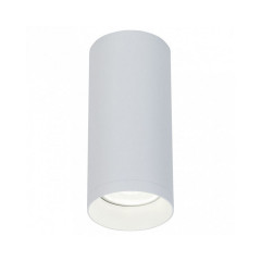 Накладной светильник Maytoni Alfa C010CL-01W