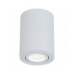 Накладной светильник Maytoni Alfa C016CL-01W