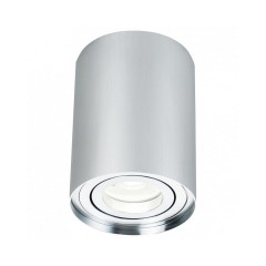 Накладной светильник Maytoni Alfa C016CL-01S