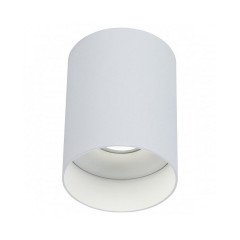 Накладной светильник Maytoni Alfa C014CL-01W