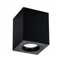 Накладной светильник Maytoni Alfa C013CL-01B