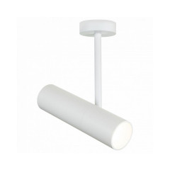 Светильник на штанге Maytoni Elti C020CL-01W