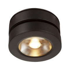 Накладной светильник Maytoni Alivar C022CL-L12B