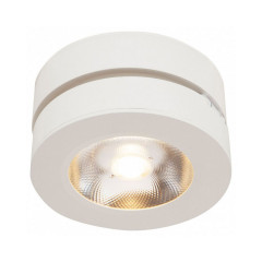 Накладной светильник Maytoni Alivar C022CL-L12W