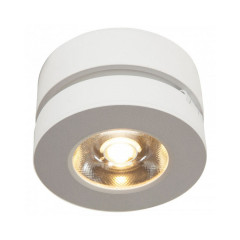 Накладной светильник Maytoni Alivar C022CL-L7W