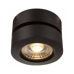 Накладной светильник Maytoni Treviso C023CL-L20B