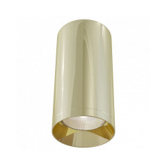 Накладной светильник Maytoni Alfa C010CL-01G