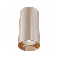 Накладной светильник Maytoni Alfa C010CL-01RG