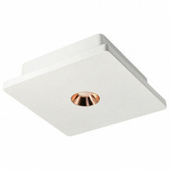 Потолочный светильник Loft it Architect OL1072-WG/1