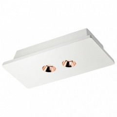 Потолочный светильник Loft it Architect OL1072-WG/2