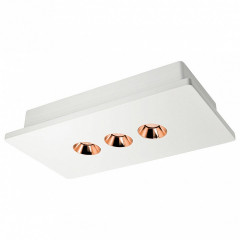 Потолочный светильник Loft it Architect OL1072-WG/3