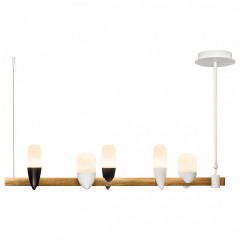 Подвесной светильник Loft it Whisper 1028-5WH