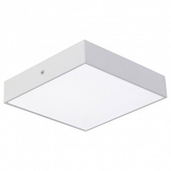 Потолочный светильник Favourite Flashled 2066-24C