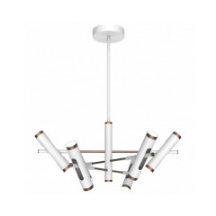 Подвесная люстра Favourite Duplex 2325-12P