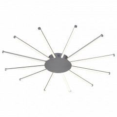 Потолочный светильник Favourite Aster 2379-12U