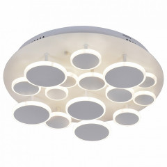 Потолочный светильник Favourite Device 2388-15U