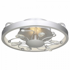 Потолочный светильник Favourite Waltz 2523-2C