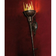 Настенный светильник Robers WL 3425