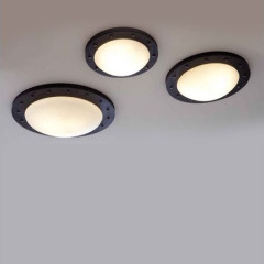 Потолочный светильник Robers Indoor DE 2550