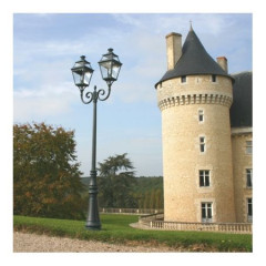 Уличный фонарь Roger Pradier Place des Vosges 3