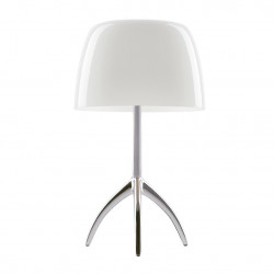 Настольный светильник Foscarini D Lumiere 5 grande Alluminio/Bianco dimmer 026001R2 11
