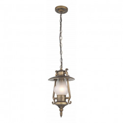 Уличный потолочный подвесной светильник Favourite Leyro 1496-1P