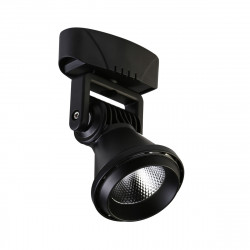 Уличный настенно-потолочный прожектор Favourite Projector 1766-1U