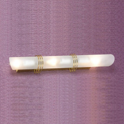 Накладной настенный светильник Lussole Selvino LSA-7701-03