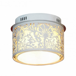 Накладной потолочный светильник Lussole Vetere LSF-2307-04