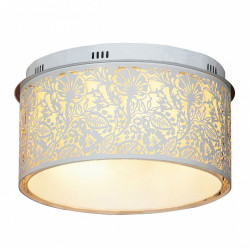 Накладной потолочный светильник Lussole Vetere LSF-2307-07